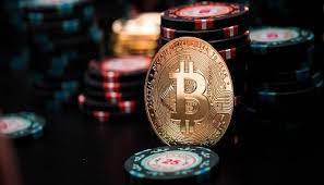 Бонусы Казино 7бит